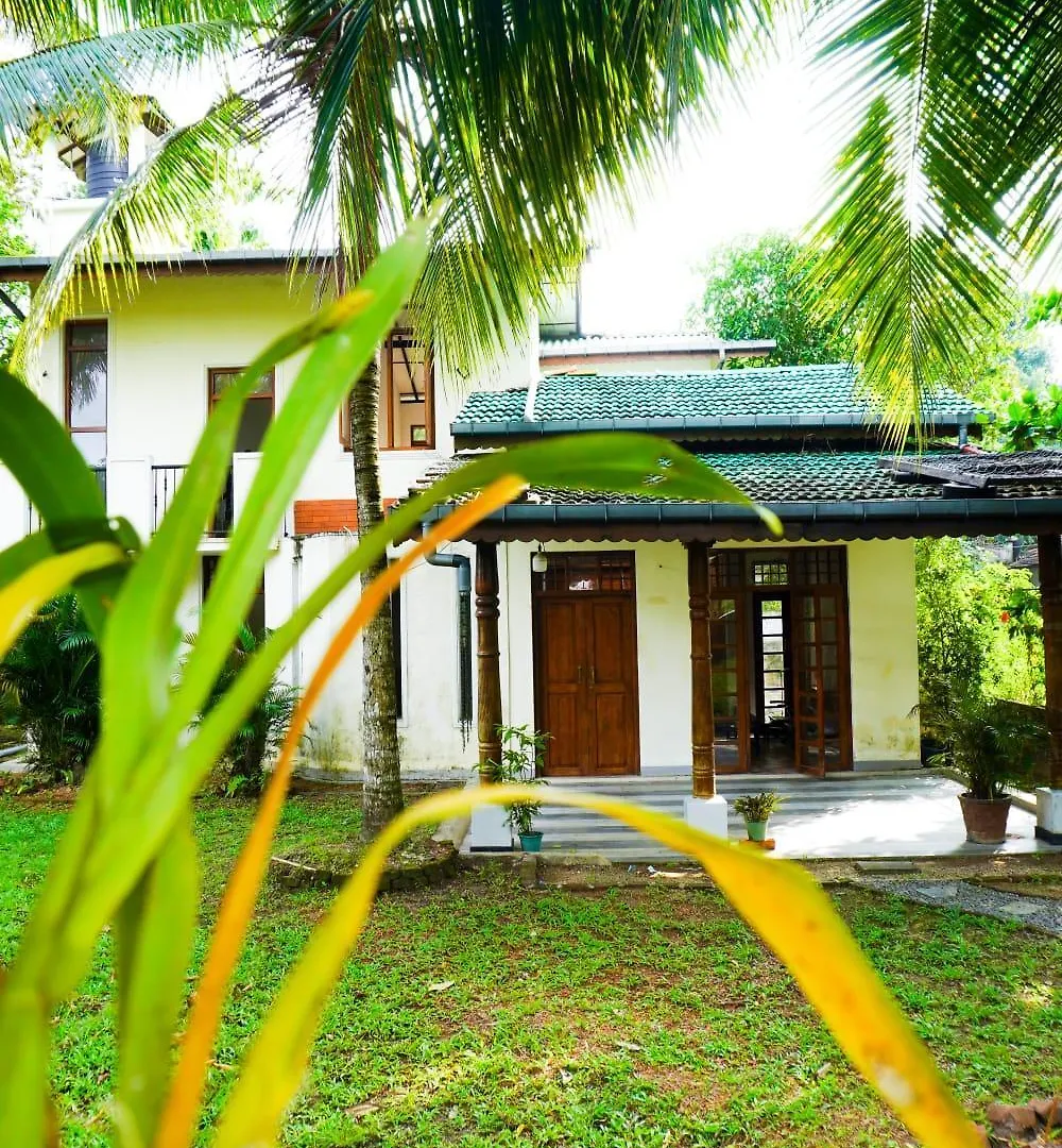 Olive Green Villa In Negombo For Airport Transit Katunayake
