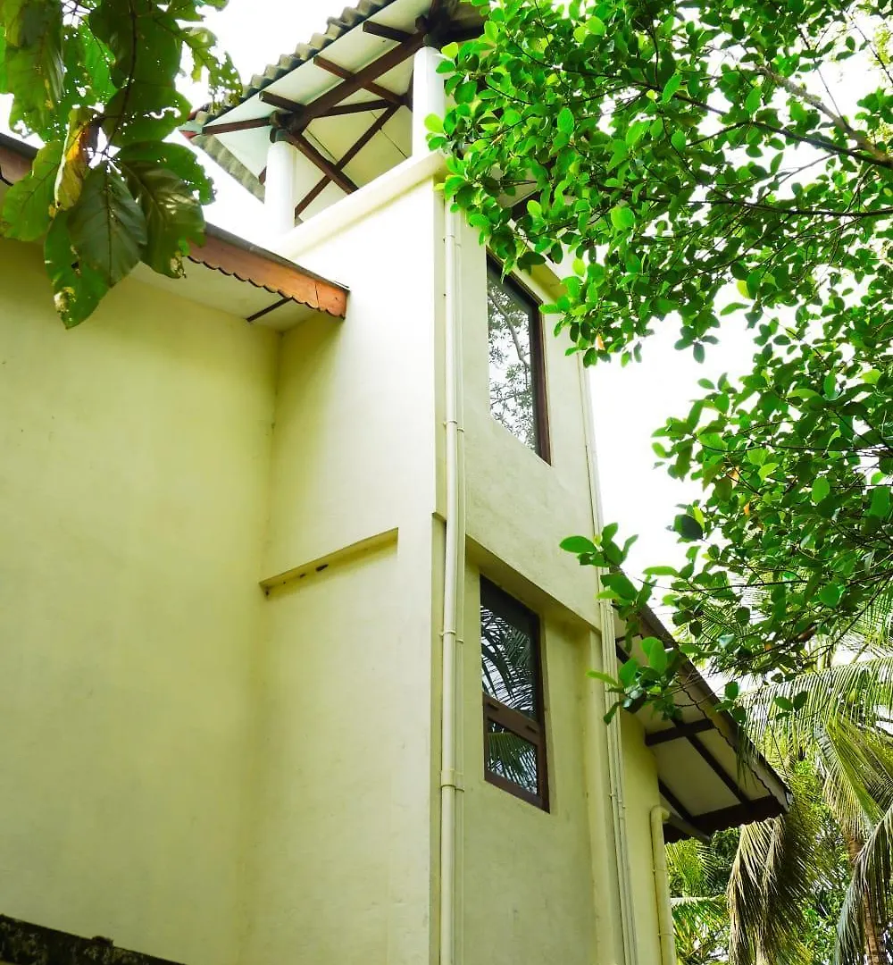 Olive Green Villa In Negombo For Airport Transit Katunayake Guest house