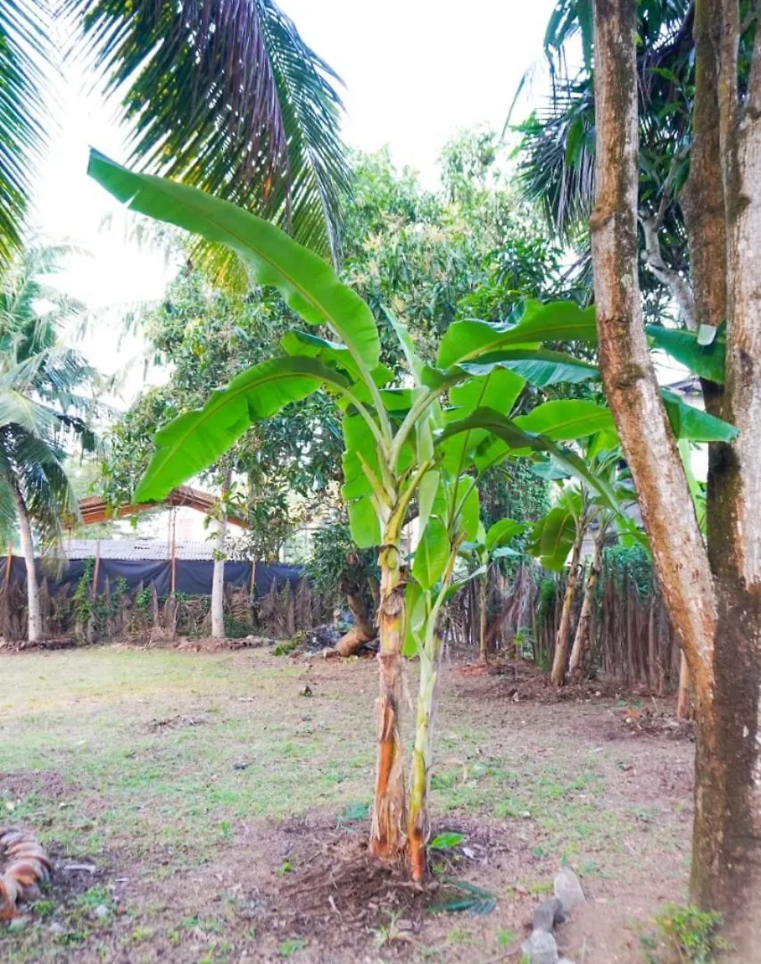 Olive Green Villa In Negombo For Airport Transit Katunayake 0*,  Sri Lanka