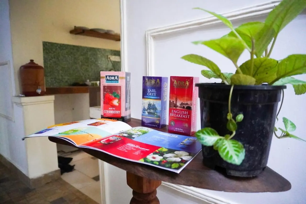 Guest house Olive Green Villa In Negombo For Airport Transit Katunayake