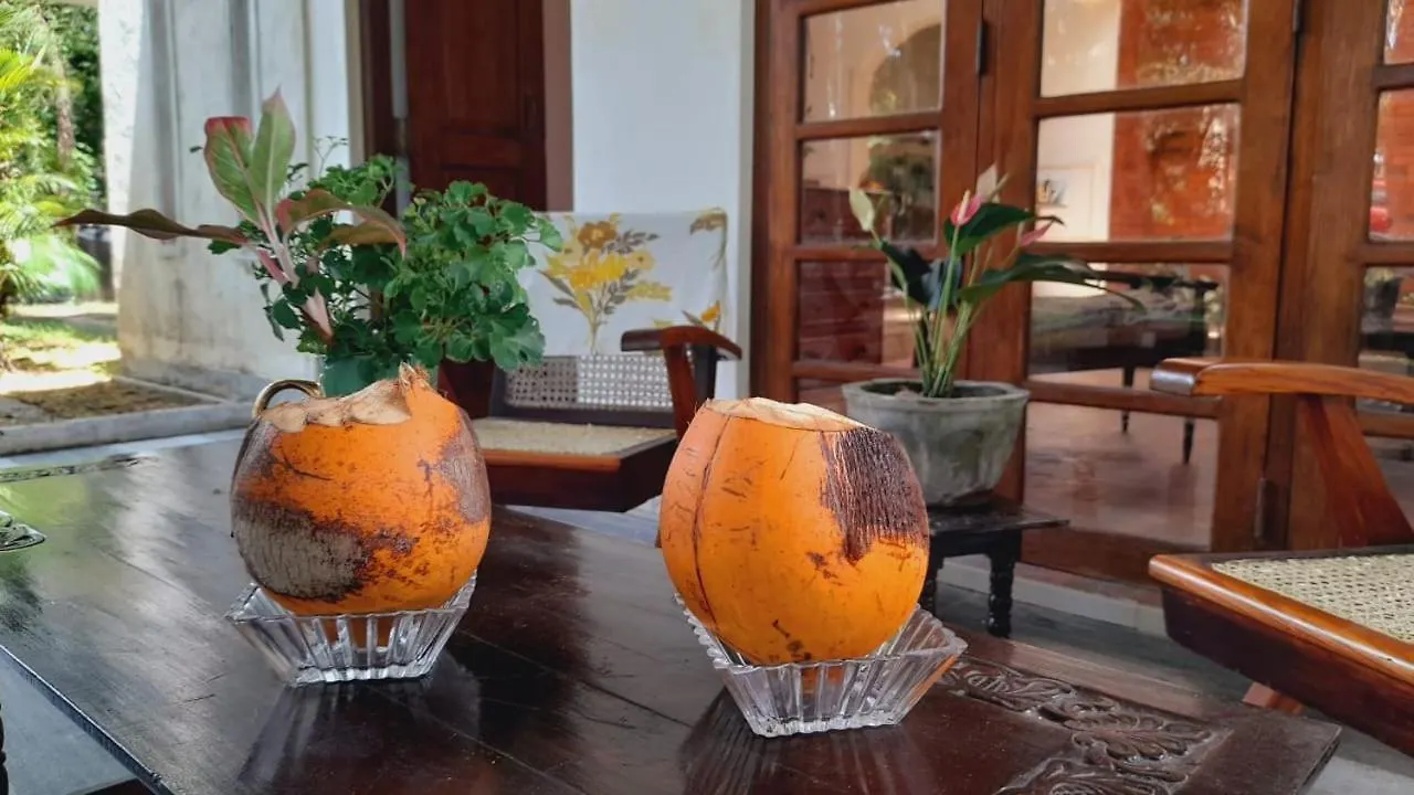 Guest house Olive Green Villa In Negombo For Airport Transit Katunayake